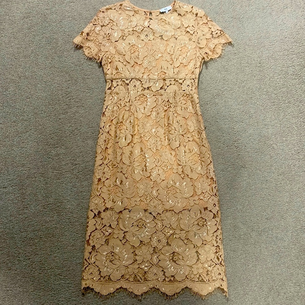 NSR Lace short sleeve midi dress